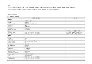 음원분석결과 보고서